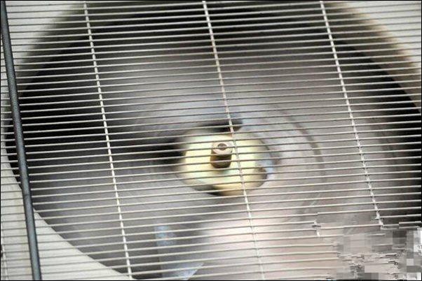 ������{�L�Ȳ��D��ԭ��