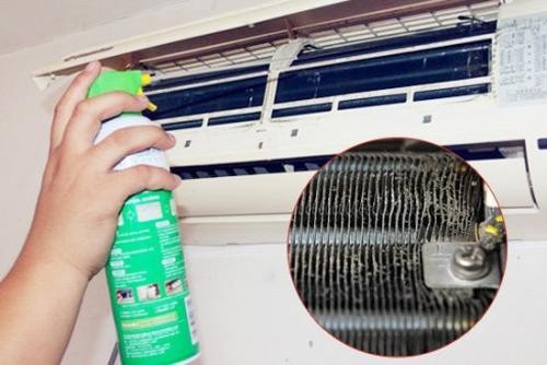 ���d�����������{�����X_���\��������