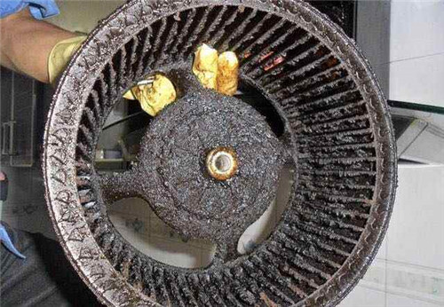 ���ݞI����ϴ�͟��C(j��)�r��_���I(y��)����(w��)